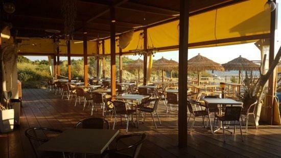 Amazing Sea View Flat Villa Tirrenia Exterior foto