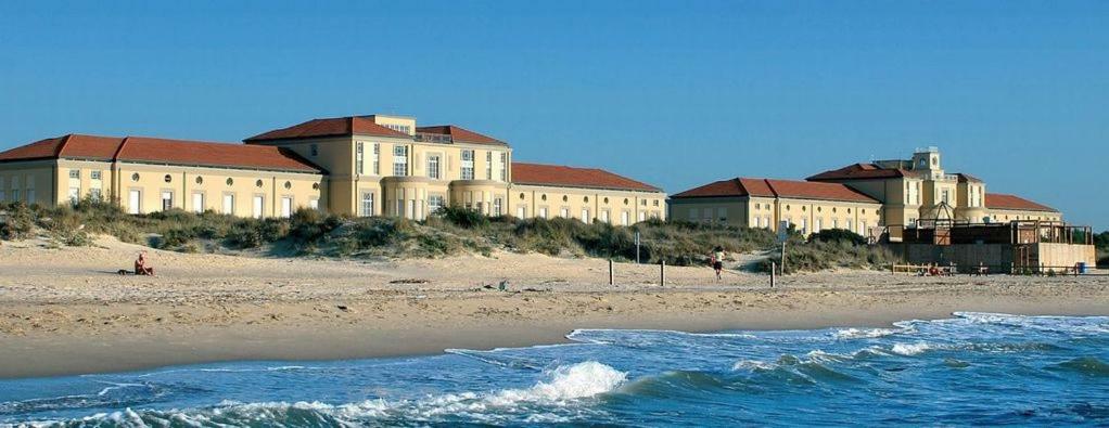 Amazing Sea View Flat Villa Tirrenia Exterior foto